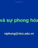 Bài giảng Thổ nhưỡng: Chương Đá và sự phong hóa đá (tt) - Võ Thanh Phong