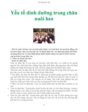 Yếu tố dinh dưỡng trong chăn nuôi heo