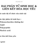 Đại phân tử sinh học & liên kết hóa học yếu