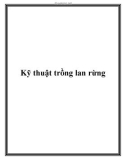 Kỹ thuật trồng lan rừng