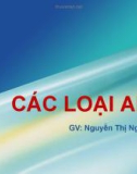 Bài giảng Sinh học phân tử: Các loại ARN - Nguyễn Thị Ngọc Yến