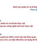 Sinh học phân tử và tế bào thực vật