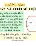 Dãy và chuỗi số thực