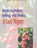 Hướng dẫn trồng vải thiều ở Lục Ngạn: Phần 1