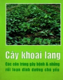 Cây khoai lang-Các con trùng gây bệnh và những rối loạn dinh dưỡng chủ yếu