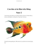 Cơn bão cá la Hán trên Đông Nam Á