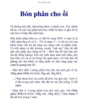 Bón phân cho ổi