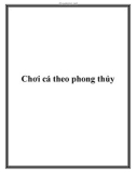 Chơi cá theo phong thủy