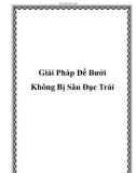 Giải Pháp Để Bưởi Không Bị Sâu Đục Trái