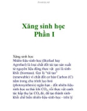 Xăng sinh học Phần I