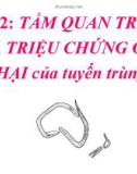 Tầm quan trọng và triệu chứng gây hại của tuyến trùng