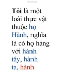 Tỏi là một loài thực vật thuộc họ Hành