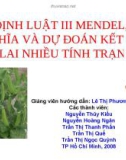 Định luật III Mendel, ý nghĩa và dự đoán kết quả lai nhiều tính trạng