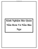 Kinh Nghiệm Bảo Quản Nấm Rơm Và Nấm Bào Ngư