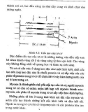 Bảo Quản Chế Biến Nông Sản Chăn Nuôi Và Cá phần 8