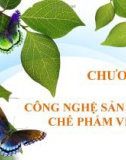 Bài giảng Vi sinh ứng dụng: Chương 4 - GV. Đoàn Thị Ngọc Thanh