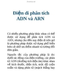 Điện di phân tích ADN và ARN