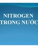 Báo cáo: Nitrogen trong nước