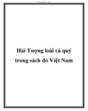 Hải Tượng loài cá quý trong sách đỏ Việt Nam