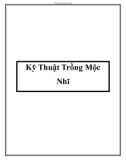 Kỹ Thuật Trồng Mộc Nhĩ