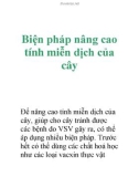 Biện pháp nâng cao tính miễn dịch của cây