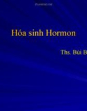 Bài giảng Hóa sinh Hormon