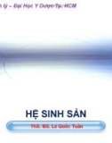 Bài giảng Hệ sinh sản - ThS. BS Lê Quốc Tuấn