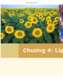 Bài giảng Sinh hoá cơ sở: Lipid - PGS.TS. Ngô Đại Nghiệp và TS. Nguyễn Thị Hồng Thương