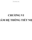 Bài giảng Chương 6: Khám hệ thống tiết niệu