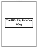 Tìm Hiểu Tập Tính Con Dông