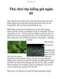 Thú chơi tép kiểng giá ngàn đô