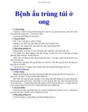 Bệnh ấu trùng túi ở ong