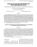 Xác định Salmonella typhimurium gây bệnh thương hàn ở vịt đẻ nuôi tại xã Phụng Thượng, Phúc Thọ, Hà Nội