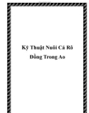 Kỹ Thuật Nuôi Cá Rô Đồng Trong Ao