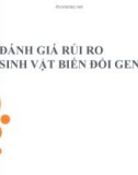 Đánh giá rủi ro sinh vật biến đổi gen