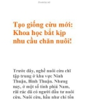 Tạo giống cừu mới: Khoa học bắt kịp nhu cầu chăn nuôi!