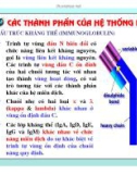 Điều hòa gene hệ miễn dịch ở động vật có xương sống part 4