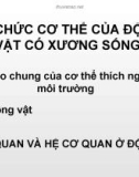 Tổ chức cơ thể của động vật có xương sống