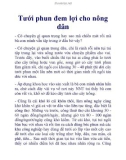 Tưới phun đem lợi cho nông dân