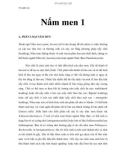 Vi sinh vật - Nấm men 1