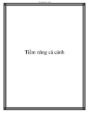 Tiềm năng cá cảnh