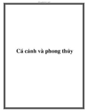 Cá cảnh và phong thủy