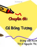 Bài giảng: Cá bống tượng