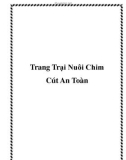 Trang Trại Nuôi Chim Cút An Toàn