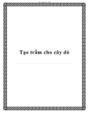 Tạo trầm cho cây dó