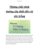 Những chất dinh dưỡng cần thiết đối với cây trồng