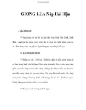 GIỐNG LÚA Nếp Hải Hậu