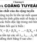 Chương 6: ĐA CỘNG TUYẾN