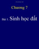 Bài giảng Khoa học đất - Chương 7: Trạng thái sinh học đất