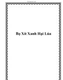 Bọ Xít Xanh Hại Lúa